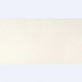 Полоса павловния магнолия 2