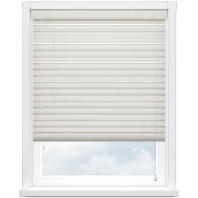 Полоса павловния магнолия 2